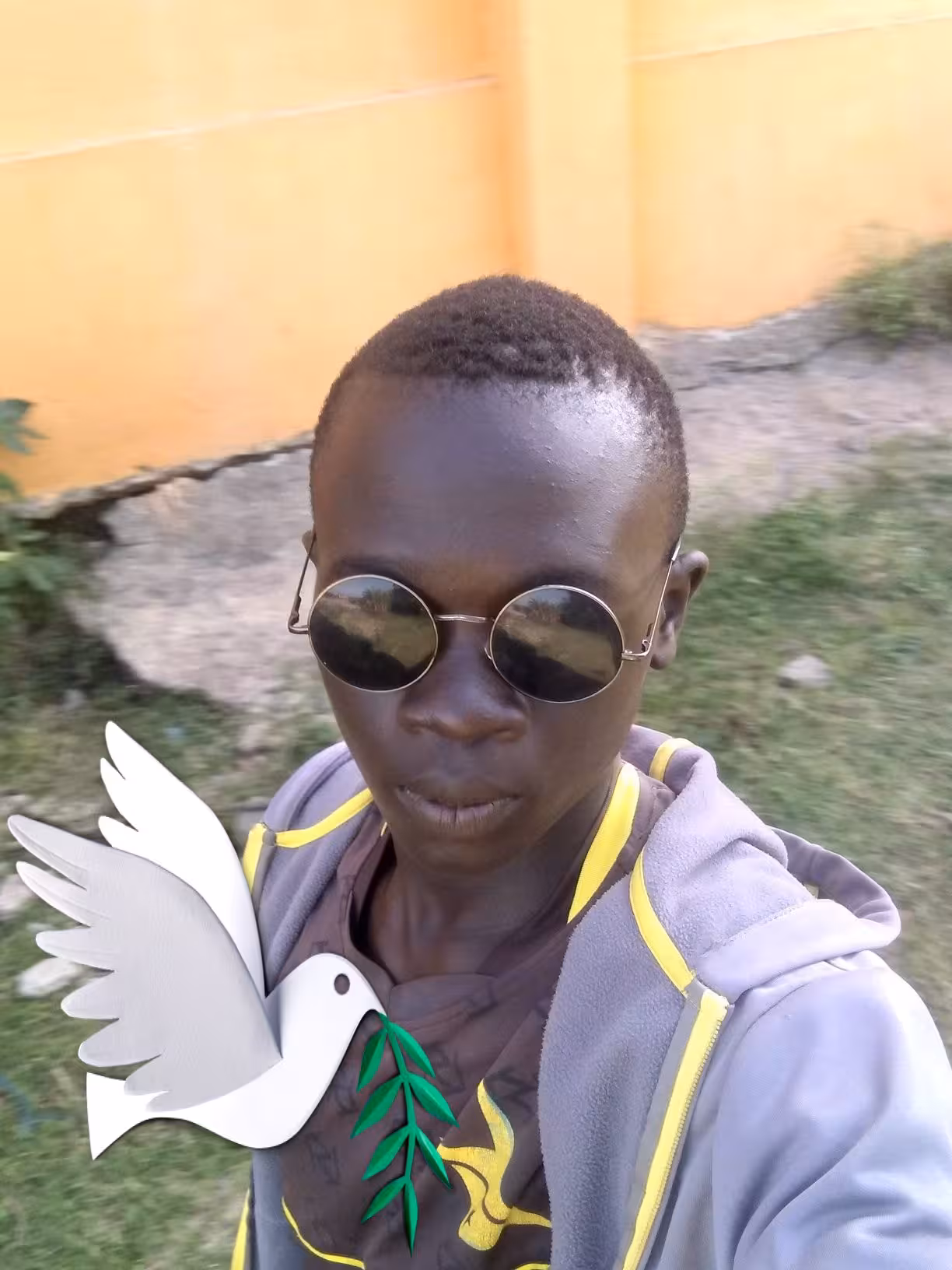 Aiitshedge
