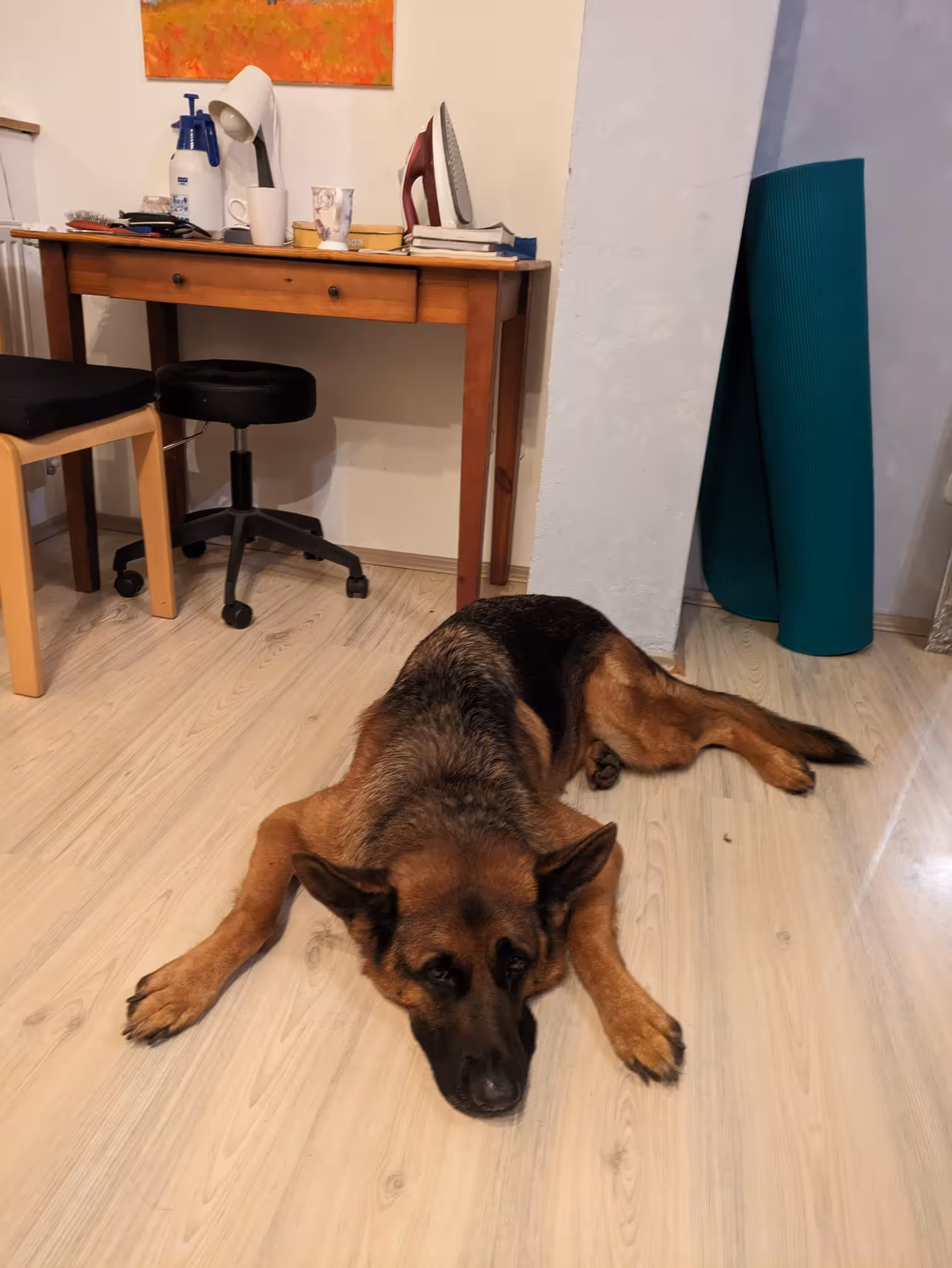 goNodestorm