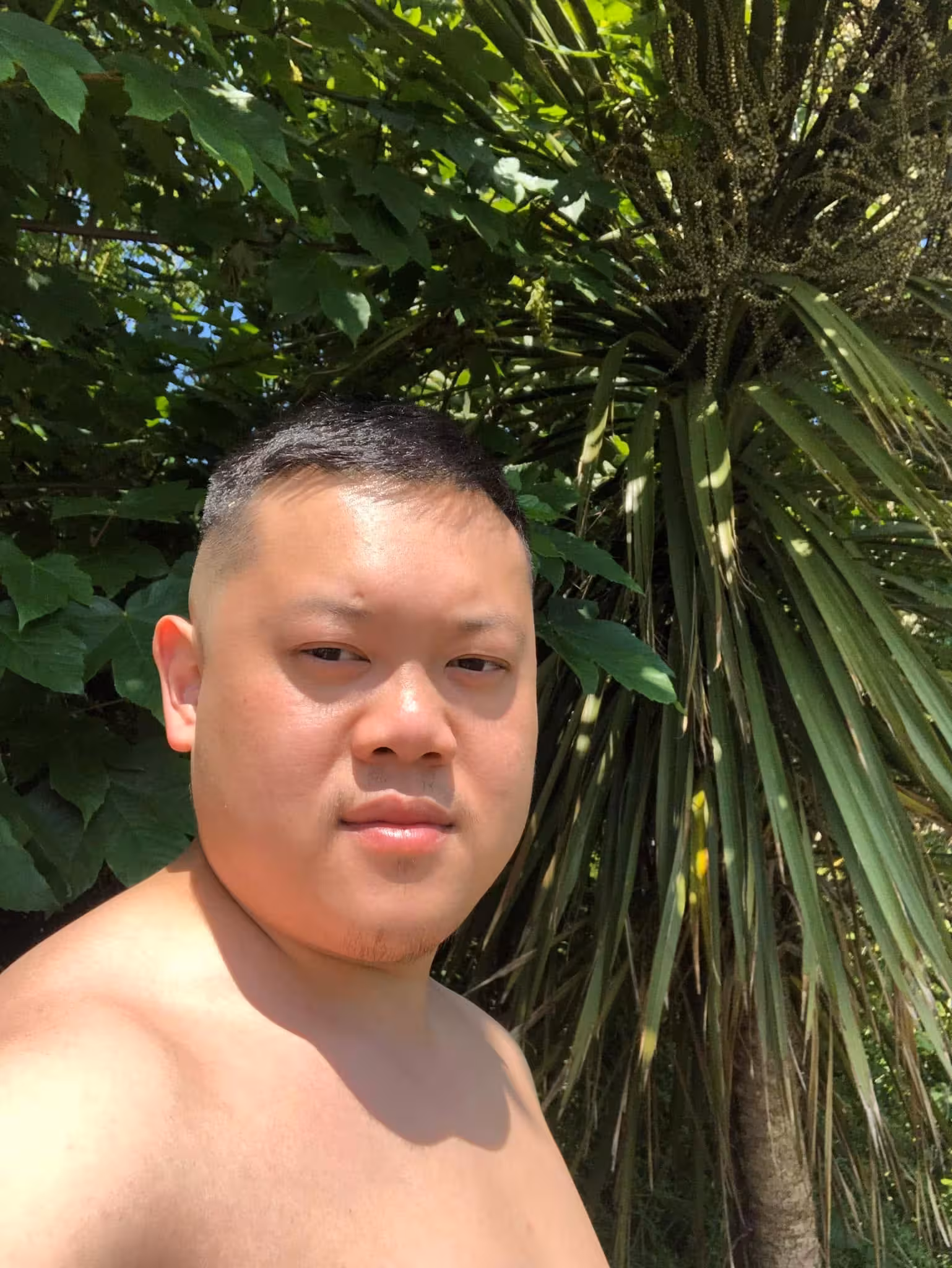 iotweeteth