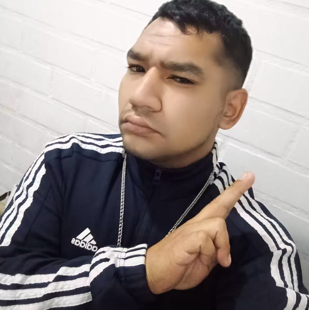 Lyrealwolf