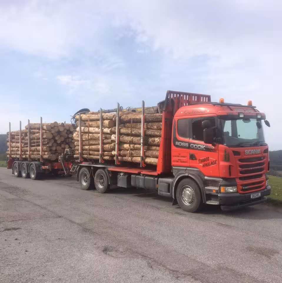 zaraly4373